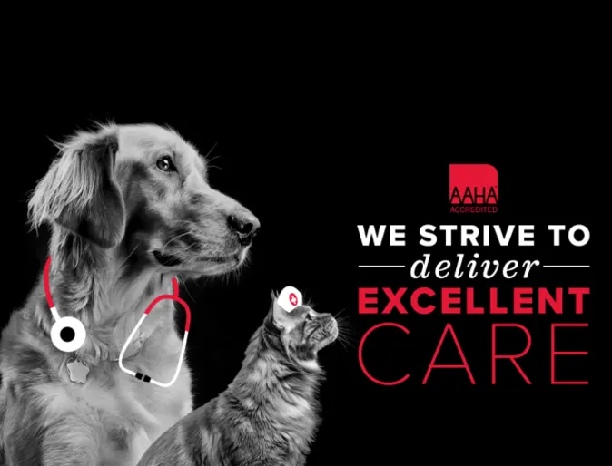 AAHA Logo with a cat and dog